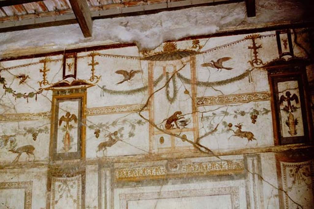 VI.15.8 Pompeii. 1961. Painted decoration on upper north wall of oecus.  Photo by Stanley A. Jashemski.
Source: The Wilhelmina and Stanley A. Jashemski archive in the University of Maryland Library, Special Collections (See collection page) and made available under the Creative Commons Attribution-Non Commercial License v.4. See Licence and use details.
J61f0438