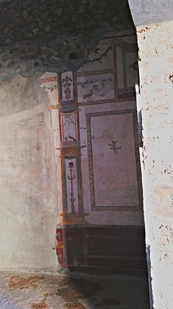 VI.15.8 Pompeii. December 2019. 
South wall of oecus at west end, from doorway.  Photo courtesy of Giuseppe Ciaramella.