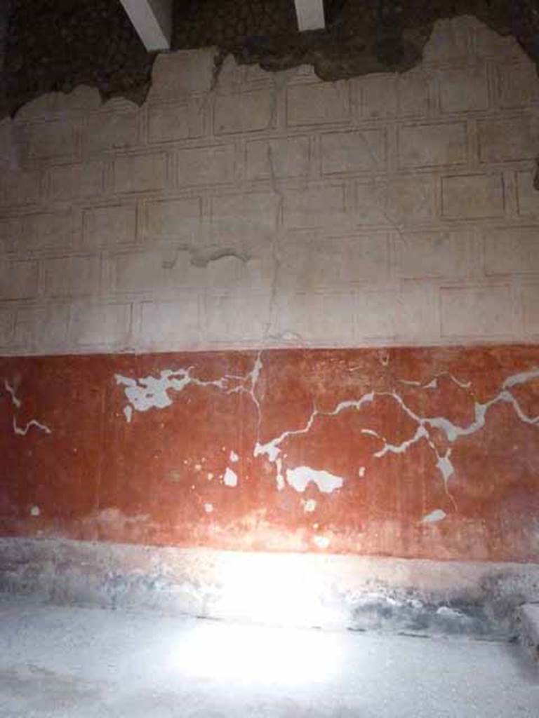 VI.15.8 Pompeii. May 2010. North wall of the atrium. According to NdS, the beautiful conservation of the wall decoration was very notable. On the north wall, when excavated, this existed to the height of 5.70m. At the top on a white background, it was partitioned into blocks by red and black lines. On the lower area, it had a red background divided by green lines into panels outlined in yellow. In the panels were painted swans, peacocks, other birds and griffins. At the lowest level, the dado was black. See Notizie degli Scavi, January 1897, p.34.