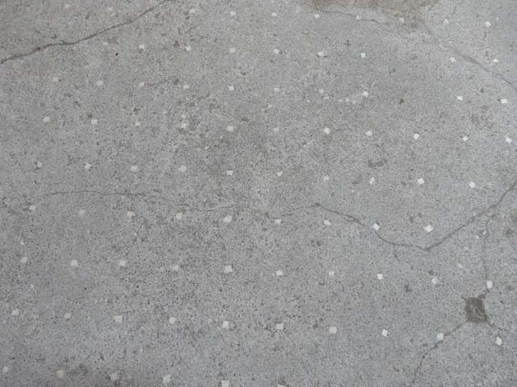 VI.15.8 Pompeii. May 2015. Detail of atrium flooring in north-east corner.  Photo courtesy of Buzz Ferebee.