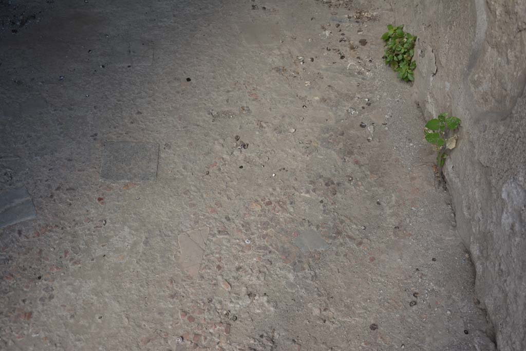 VI.15.9 Pompeii. July 2017. Detail of flooring in entrance corridor.
Foto Annette Haug, ERC Grant 681269 DÉCOR.