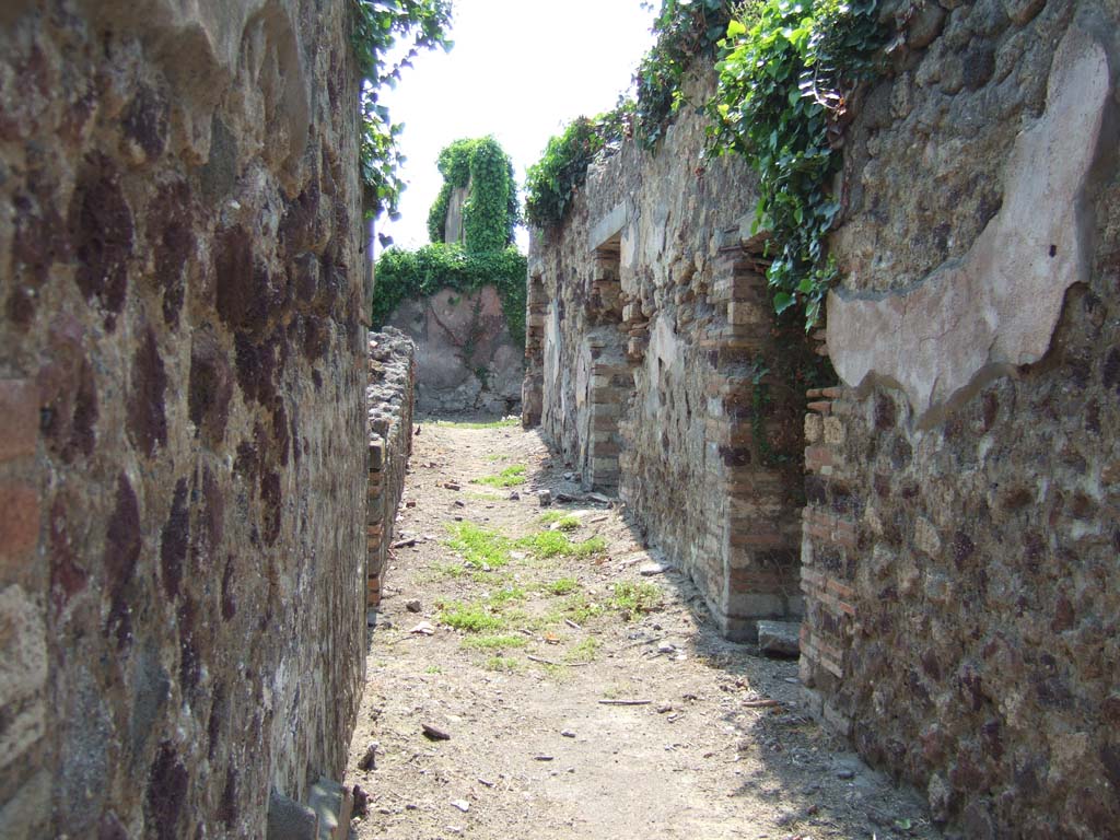 VI.15.14 Pompeii. May 2006. Looking west along long entrance corridor.
According to NdS, this long and narrow corridor had a beaten floor and plastered walls with a yellow background. 
See Notizie degli Scavi di Antichità, June 1897, (p.270)