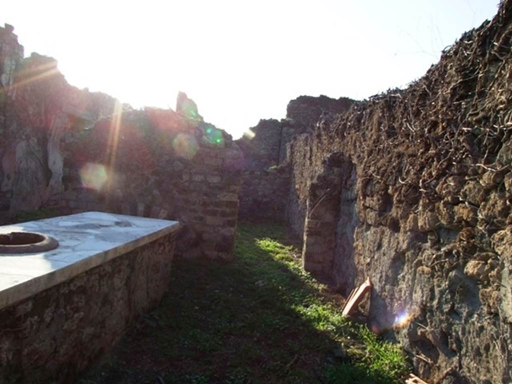 VI.15.15 Pompeii. December 2007.  Looking west along north side of bar-room, through doorway into rear room. According to NdS, the rear room was decorated with plaster on a yellow background, partitioned into panels, in which were paintings of flying panthers or pecking birds.