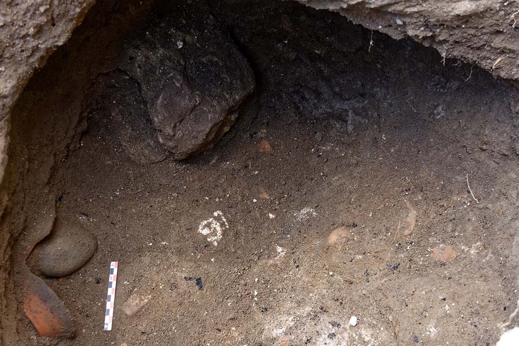 Fig. 27 – Pompéi, VI 16, 6. Bloc d’argile dans le comblement de la fosse. Vue de l’est. 
Cl. MIBAC/N. Monteix/EFR. Licence creative commons, © CC BY-NC-SA.
