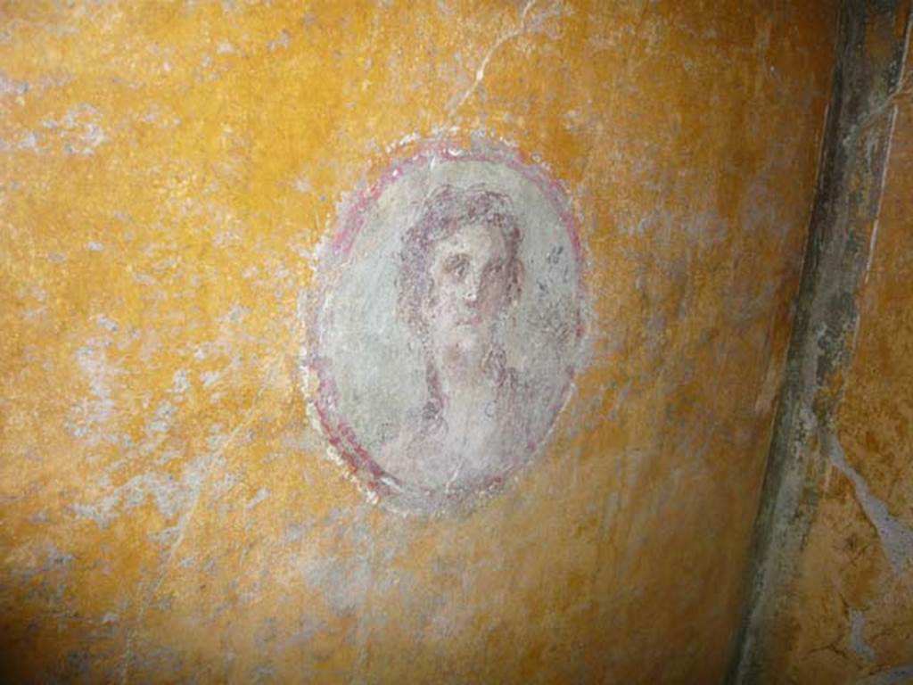 VI.16.7 Pompeii.  June 2103. Room R, painted medallion on south end of east wall, after restoration.
Photo courtesy of Buzz Ferebee.