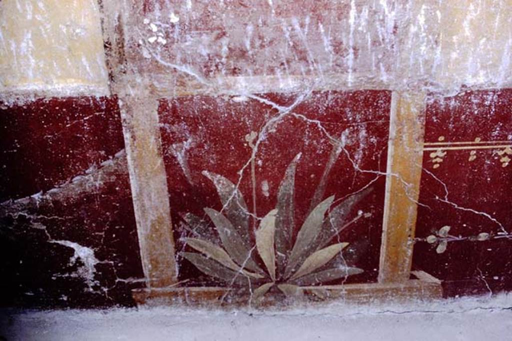 VI.16.7 Pompeii, 1968. Room R, painted plant on east end of north wall. Photo by Stanley A. Jashemski.
Source: The Wilhelmina and Stanley A. Jashemski archive in the University of Maryland Library, Special Collections (See collection page) and made available under the Creative Commons Attribution-Non Commercial License v.4. See Licence and use details.
J68f0248