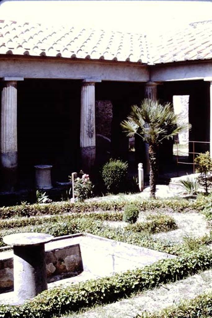 VI.16.7 Pompeii, 1968. Looking towards the north side of the north-east corner of the garden area. Photo by Stanley A. Jashemski.
Source: The Wilhelmina and Stanley A. Jashemski archive in the University of Maryland Library, Special Collections (See collection page) and made available under the Creative Commons Attribution-Non Commercial License v.4. See Licence and use details. J68f0088