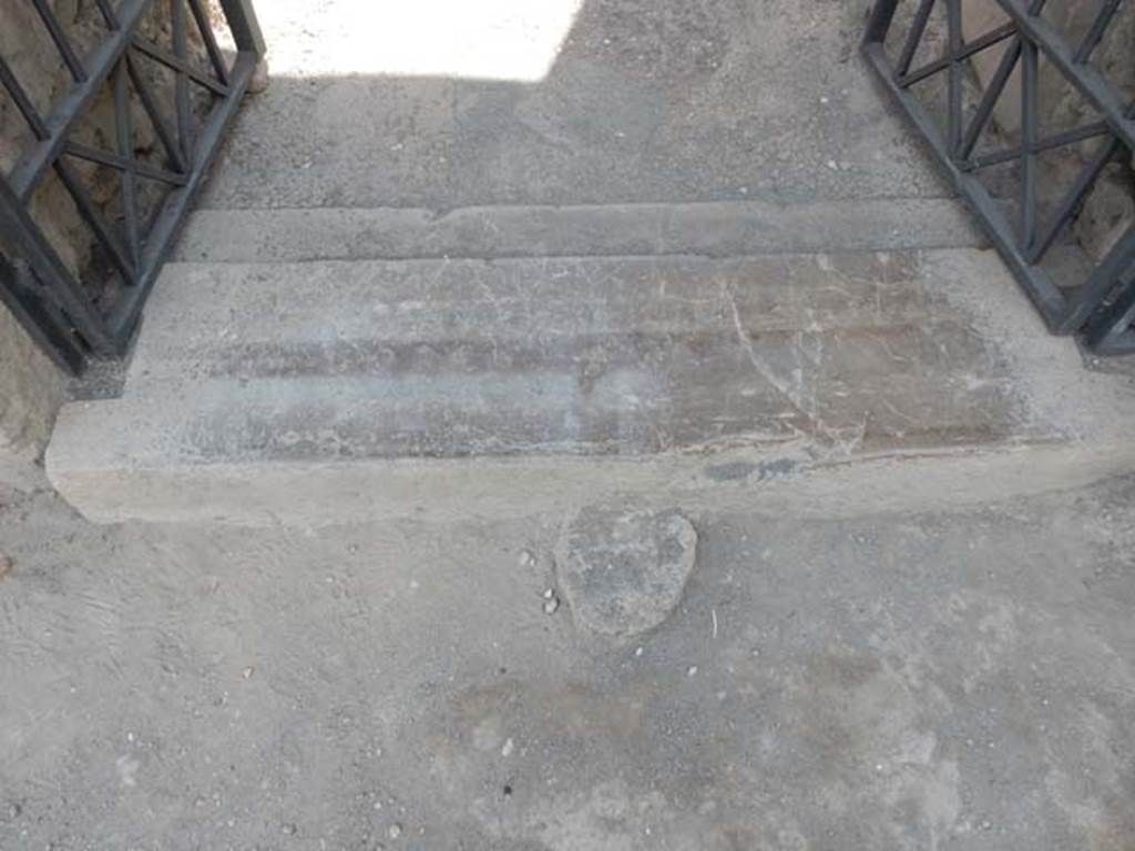 VI.16.7 Pompeii. May 2016. Steps and threshold at entrance doorway. Photo courtesy of Buzz Ferebee.