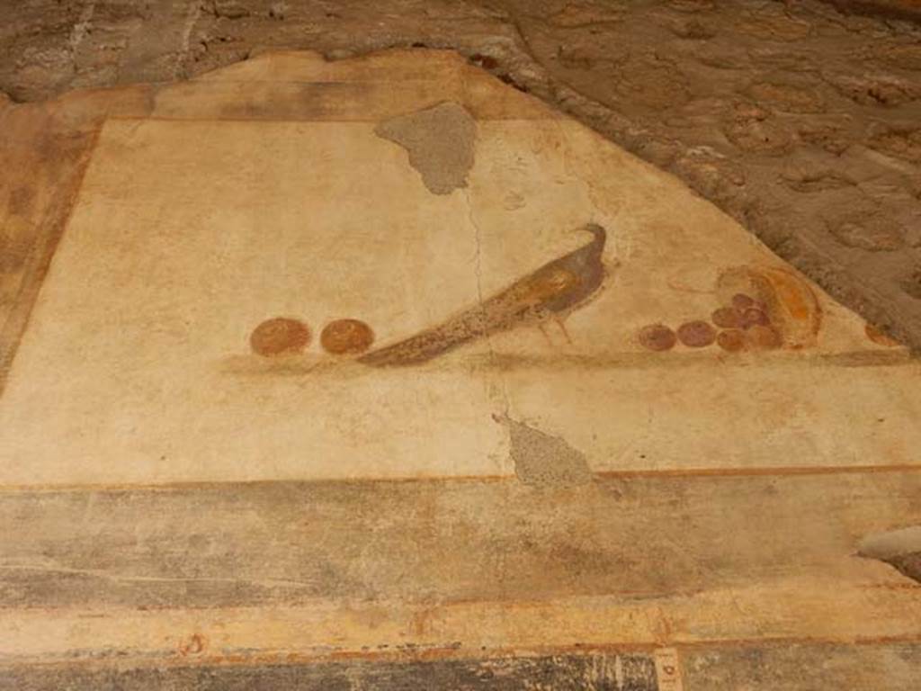 VI.16.7 Pompeii. May 2016. Entrance “A” upper north wall. Painting of still life with peacock and fruit, after recent restoration.  Photo courtesy of Buzz Ferebee.