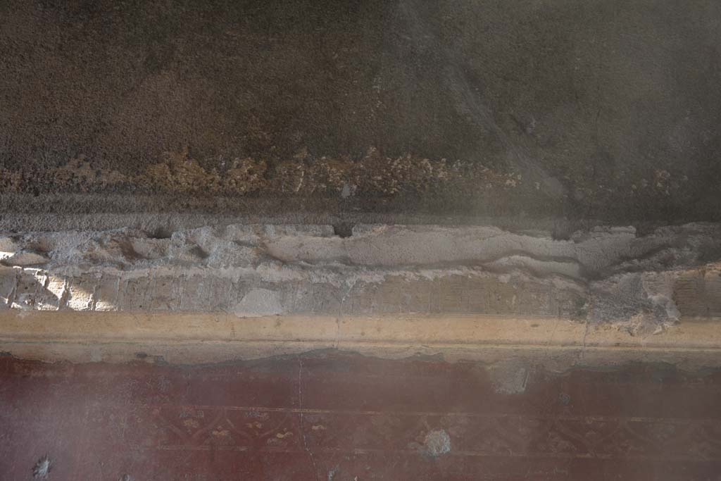 VI.16.7 Pompeii. March 2019. Cubiculum D, detail from upper north wall above central red panel. 
Foto Annette Haug, ERC Grant 681269 DÉCOR.