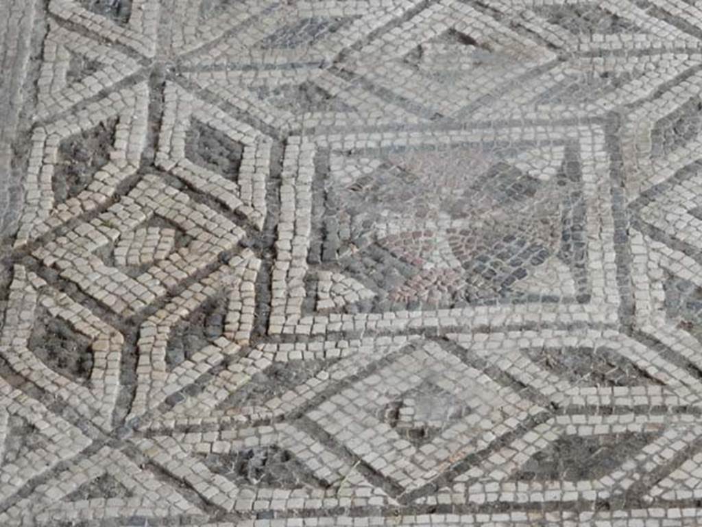 VI.16.7 Pompeii. May 2016. Room E, detail from centre mosaic. Photo courtesy of Buzz Ferebee.