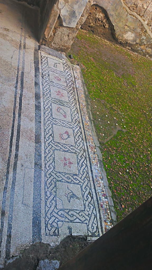 VI.16.7 Pompeii. December 2019. 
Tablinum E, mosaic threshold of doorway from atrium B. Photo courtesy of Giuseppe Ciaramella.