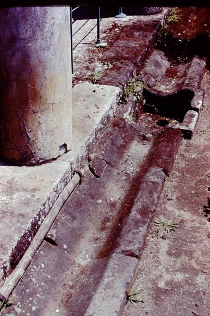 VI.16.7 Pompeii, 1978. Room F. Lower part of column painted yellow, and gutter around edge of peristyle with lead pipe. 
Photo by Stanley A. Jashemski.   
Source: The Wilhelmina and Stanley A. Jashemski archive in the University of Maryland Library, Special Collections (See collection page) and made available under the Creative Commons Attribution-Non-Commercial License v.4. See Licence and use details.
J78f0215