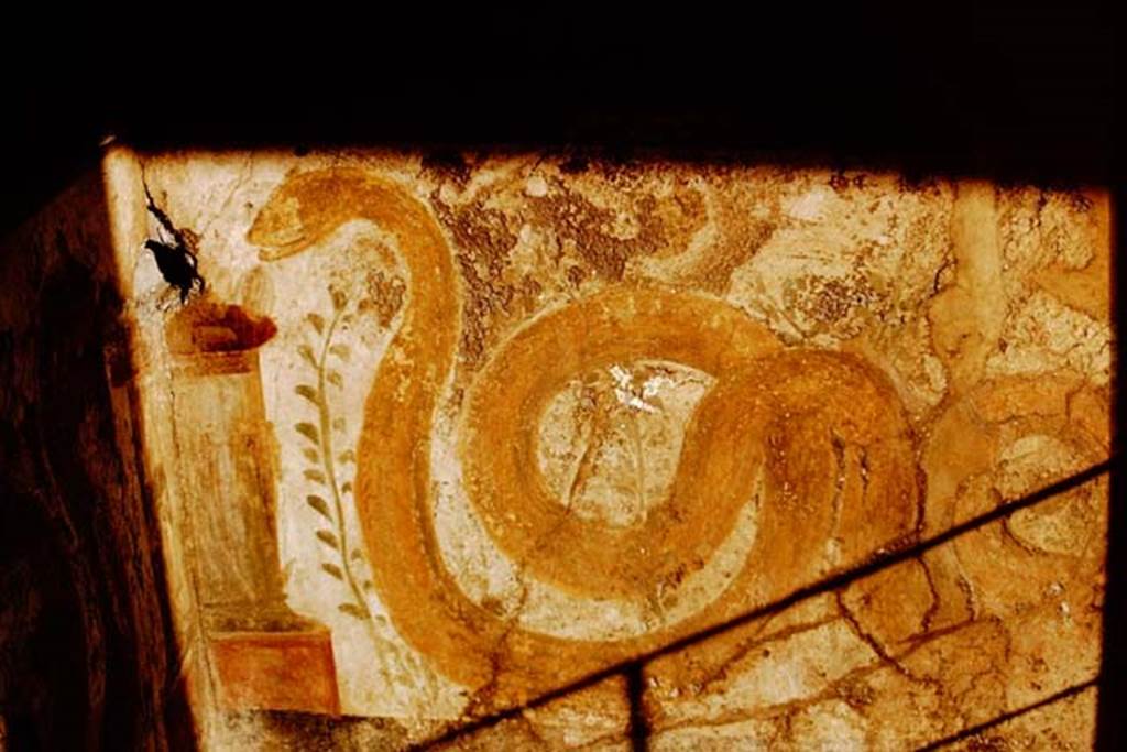 VI.16.7 Pompeii. 1966. Painted serpent from south wall. Photo by Stanley A. Jashemski.
Source: The Wilhelmina and Stanley A. Jashemski archive in the University of Maryland Library, Special Collections (See collection page) and made available under the Creative Commons Attribution-Non Commercial License v.4. See Licence and use details.
J66f0257
