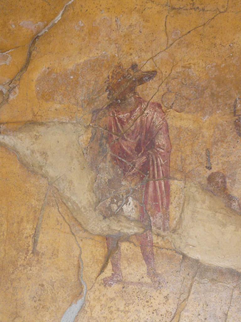 VI.16.7 Pompeii. June 2013. Room F, on the south wall of the peristyle. Painting of Anubis, after recent restoration.  Photo courtesy of Buzz Ferebee.
