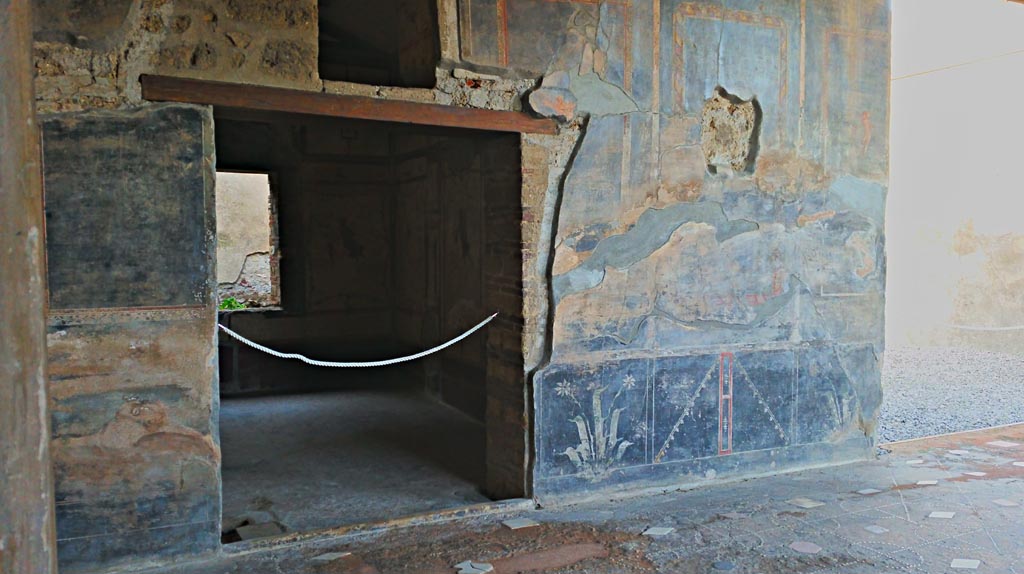 VI.16.7 Pompeii. December 2019. 
Looking towards west wall in south-west corner of peristyle, with doorway to room Q, on left. Photo courtesy of Giuseppe Ciaramella.