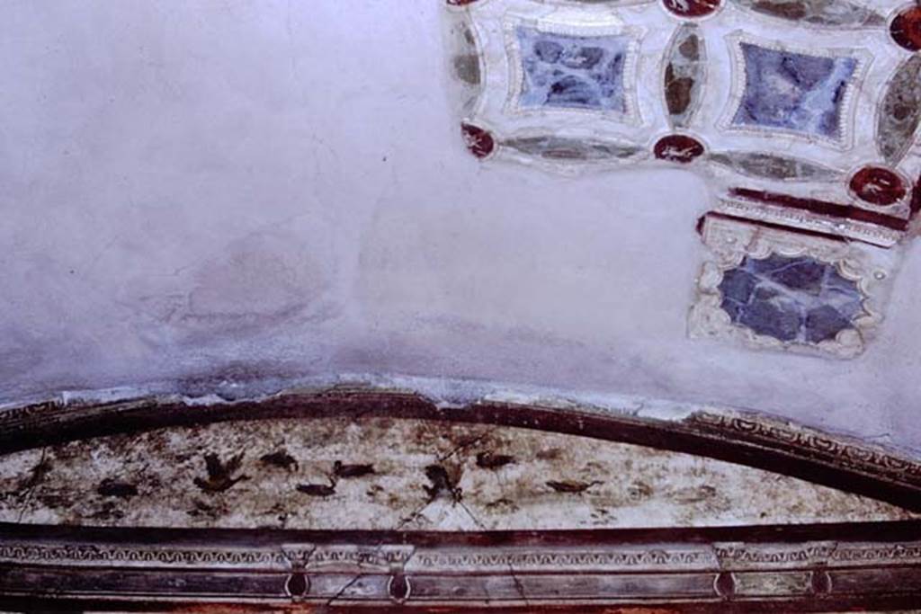 VI.16.7 Pompeii, 1968. Room Q, upper west wall and ceiling decoration.  Photo by Stanley A. Jashemski.
Source: The Wilhelmina and Stanley A. Jashemski archive in the University of Maryland Library, Special Collections (See collection page) and made available under the Creative Commons Attribution-Non Commercial License v.4. See Licence and use details.
J68f0245.