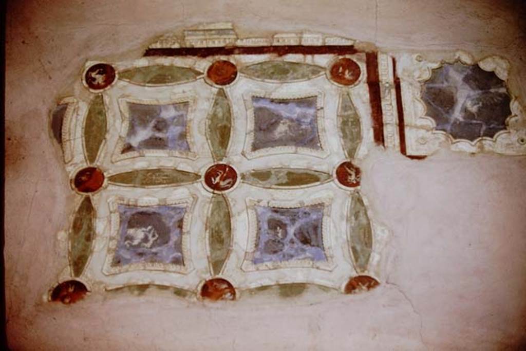 VI.16.7 Pompeii. 1968. Room Q, painted ceiling decoration. Photo by Stanley A. Jashemski.
Source: The Wilhelmina and Stanley A. Jashemski archive in the University of Maryland Library, Special Collections (See collection page) and made available under the Creative Commons Attribution-Non Commercial License v.4. See Licence and use details.
J68f0241