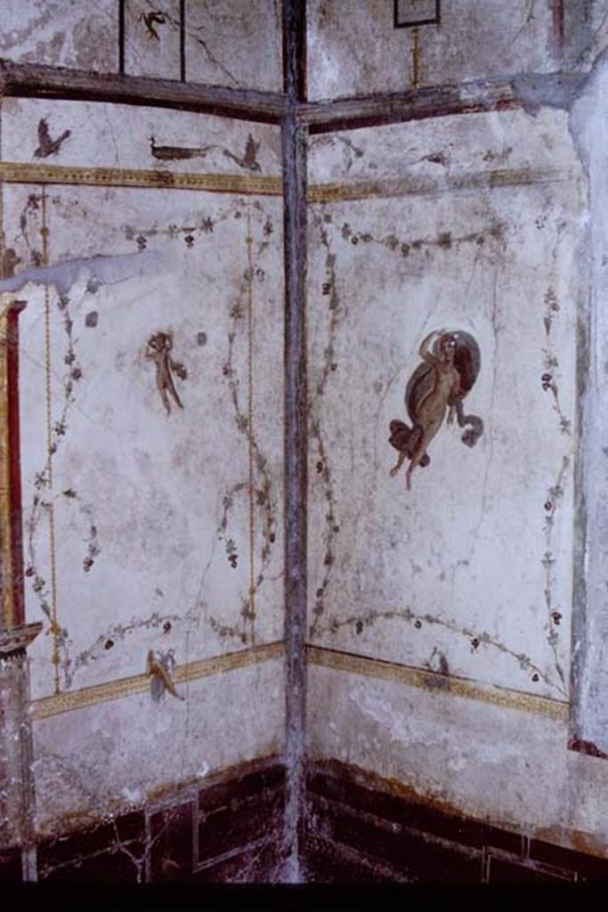 VI.16.7 Pompeii, 1968. Room Q, south-west corner. Photo by Stanley A. Jashemski.
Source: The Wilhelmina and Stanley A. Jashemski archive in the University of Maryland Library, Special Collections (See collection page) and made available under the Creative Commons Attribution-Non Commercial License v.4. See Licence and use details.
J68f0243