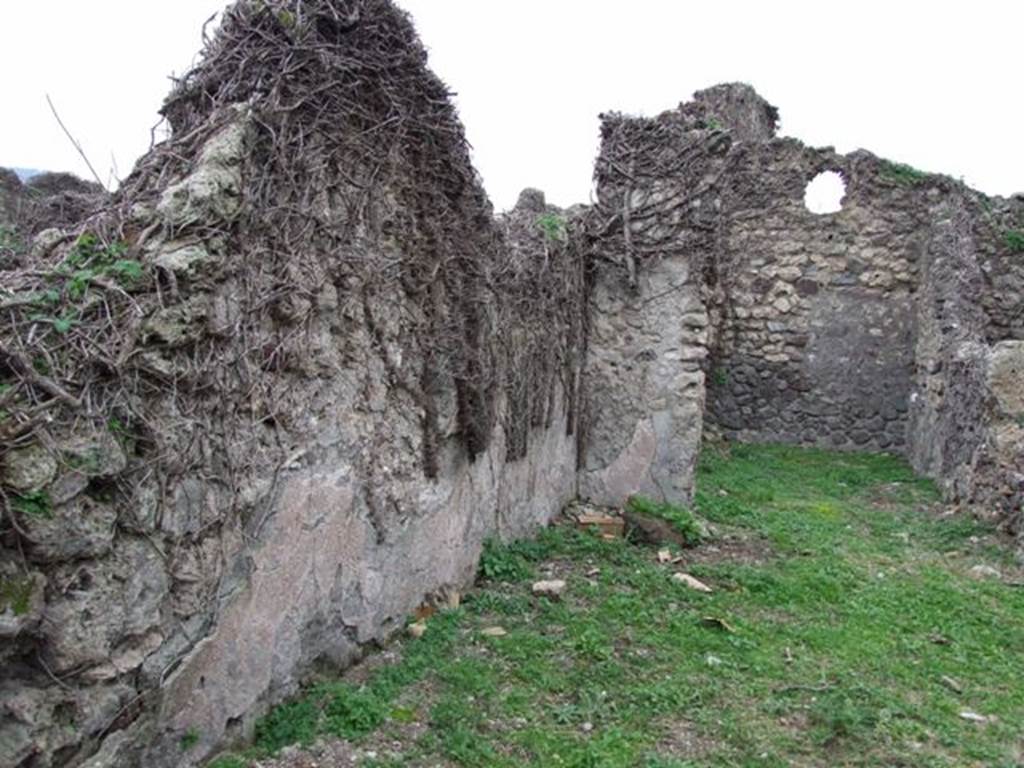 VI.16.13 Pompeii. December 2007. South wall of workshop and rear-room in south-west corner. According to NdS, the workshop was rather spacious. The walls were whitewashed with a high plastered dado (laterizio) and with red bands on a white background, to imitate the encrustation of white marble slabs. See Notizie degli Scavi di Antichità, 1908 (p.62)