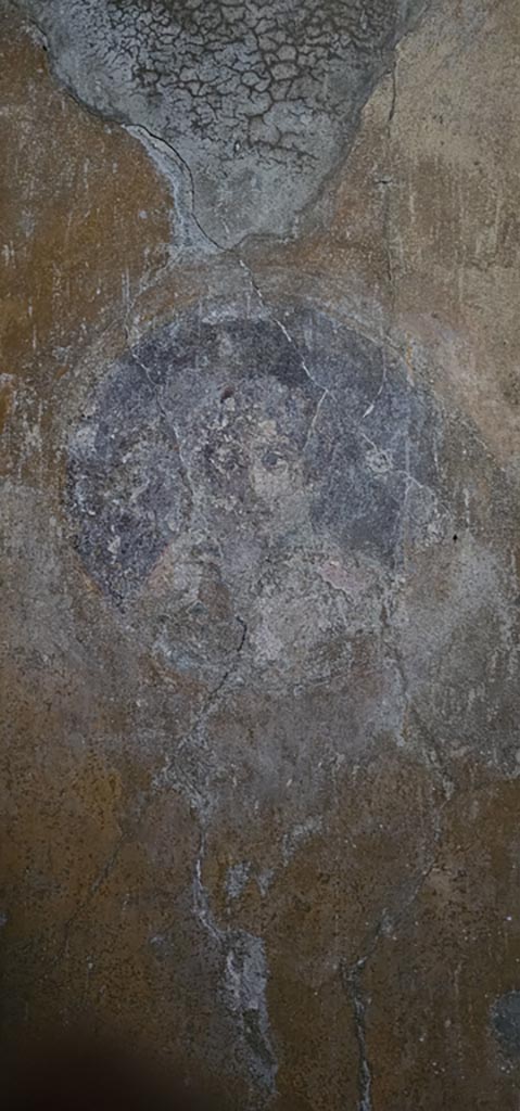 VI.16.15 Pompeii. December 2023. 
North wall of room G with detail of medallion painting.
Photo courtesy of Miriam Colomer.