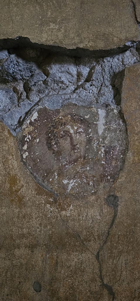 VI.16.15 Pompeii. December 2023.
Room G, medallion from north end of east wall. Photo courtesy of Miriam Colomer.