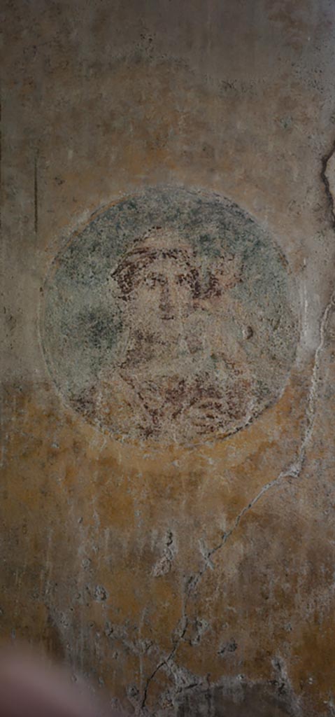 VI.16.15 Pompeii. December 2023.
Room G, detail of medallion from south end of west wall. Photo courtesy of Miriam Colomer.
