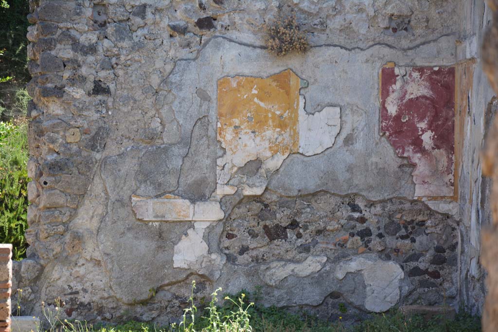 VI.16.19 Pompeii. July 2017. Room J, detail from east wall.
Foto Annette Haug, ERC Grant 681269 DÉCOR.