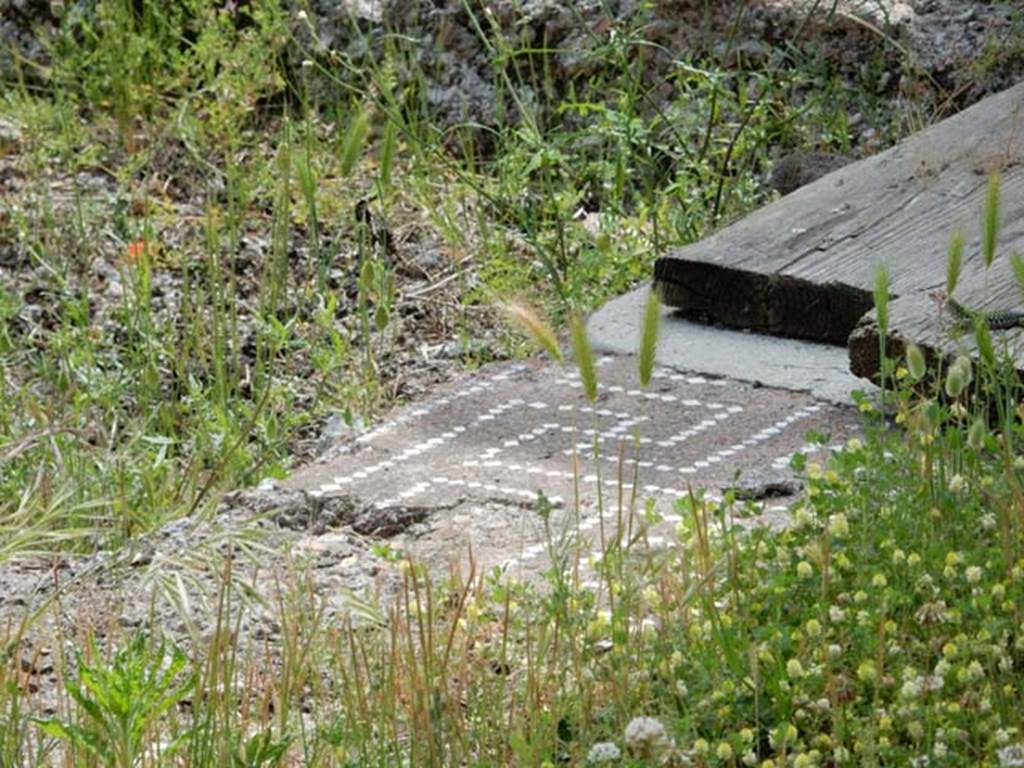 VI.16.19 Pompeii. May 2015. Decorative edging to impluvium in atrium. 
Photo courtesy of Buzz Ferebee.