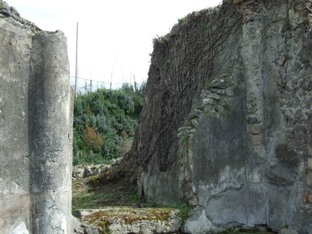 VI.16.27 Pompeii. March 2009.  South-east corner of garden, looking into room S, through remains of window.