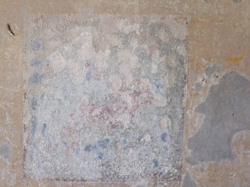 VI.16.27 Pompeii.  March 2009. Room G, remains of wall painting at north end of west wall in triclinium. According to PPP, this was of Ganymede and the eagle. Not. Scavi, 1908, 187.
See Bragantini, de Vos, Badoni, 1983. Pitture e Pavimenti di Pompei, Parte 2. Rome: ICCD. (p.365)
