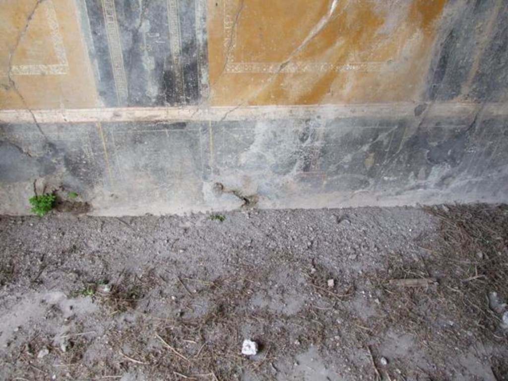 VI.16.27 Pompeii. March 2009. Room G, lower west wall of triclinium. According to NdS, the   dado had a black background and on it were painted plants, animals, winged creatures, etc.