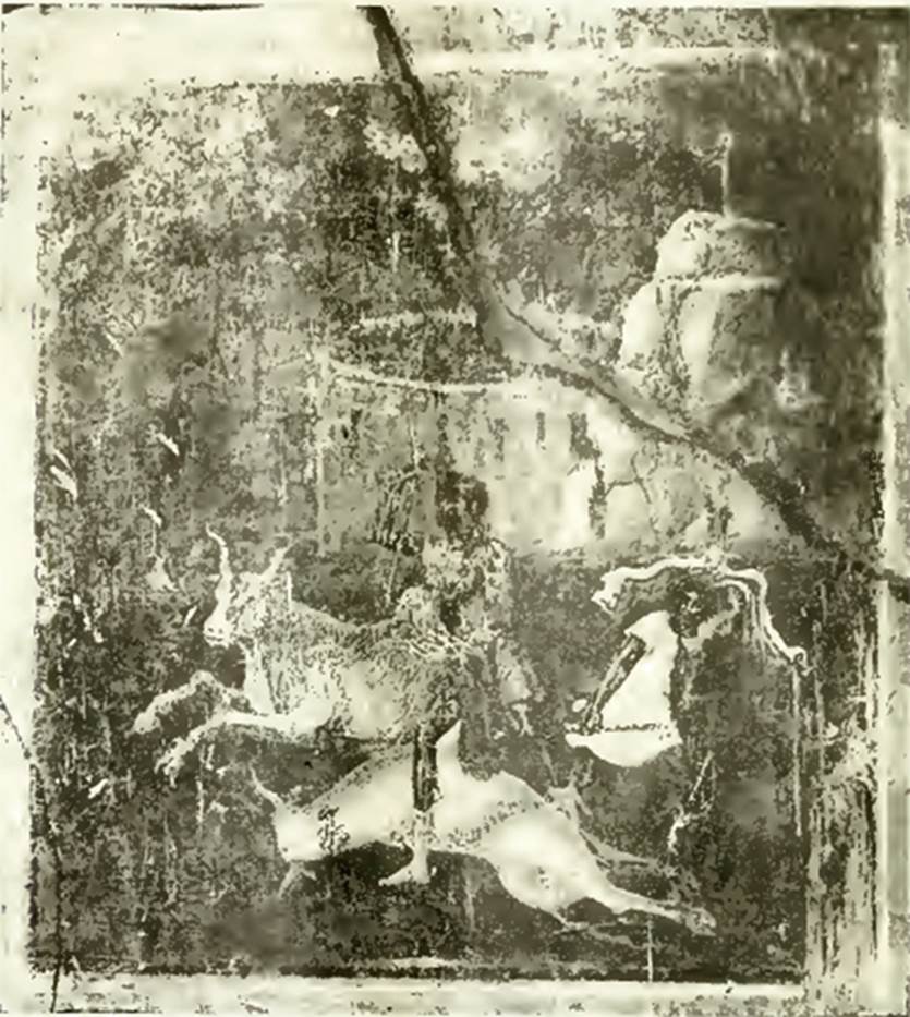 VI.16.28 Pompeii. 1908. Room F, north wall, painting of the Hunt of the Bulls. See Notizie degli Scavi di Antichità, 1908, p. 274, fig. 2. According to NdS, the central painting on the north wall was the same size as that on the eastern wall. The painting was better preserved and here one could see a bull galloping to the left with elevated front legs. A man with brown complexion and short tunic was trying to hit him with a spear, which he held in his right hand. Beneath the legs of the man was the body of another bull. Somewhat more to the right of the picture, another man was watching the group. See Notizie degli Scavi di Antichità, 1908, (p.273-4).