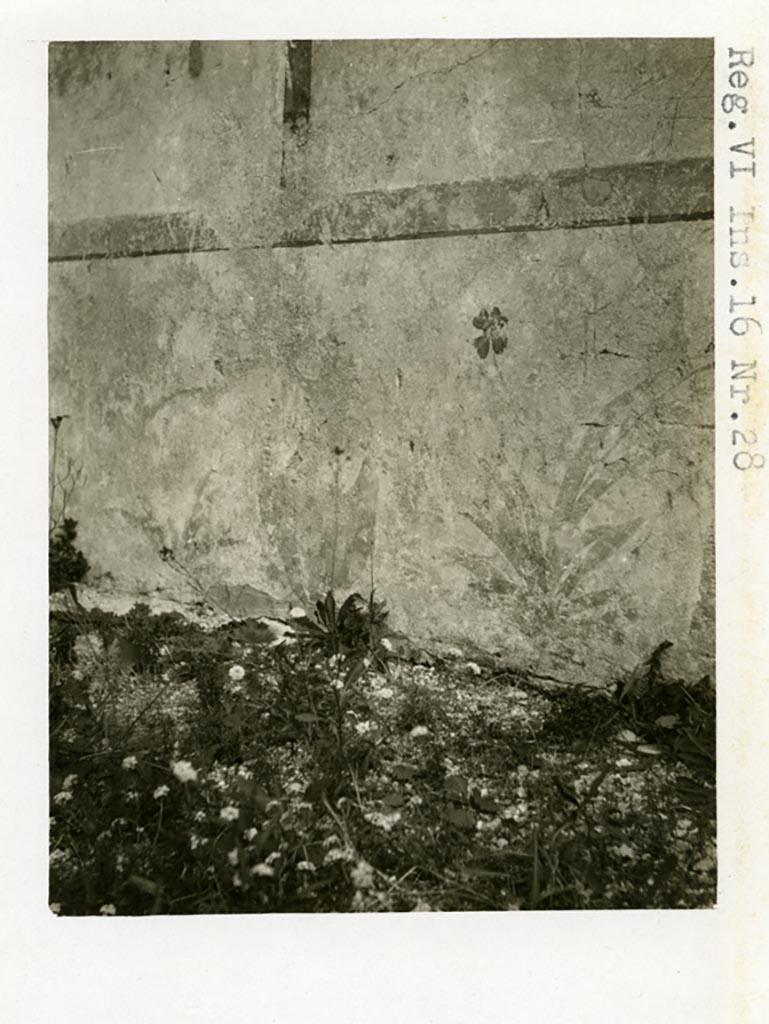 VI.16.28 Pompeii. Pre-1937-39. Room I, zoccolo/dado with painted plants.
Photo courtesy of American Academy in Rome, Photographic Archive. Warsher collection no. 1676.
According to PPM –
“In the south wall you can recognise the zoccolo/dado with flowering plants, while the middle area was already incomplete at the time of excavation.”
See Carratelli, G. P., 1990-2003. Pompei: Pitture e Mosaici. V.(5). Roma: Istituto della enciclopedia italiana, (p.942-3, no.23).