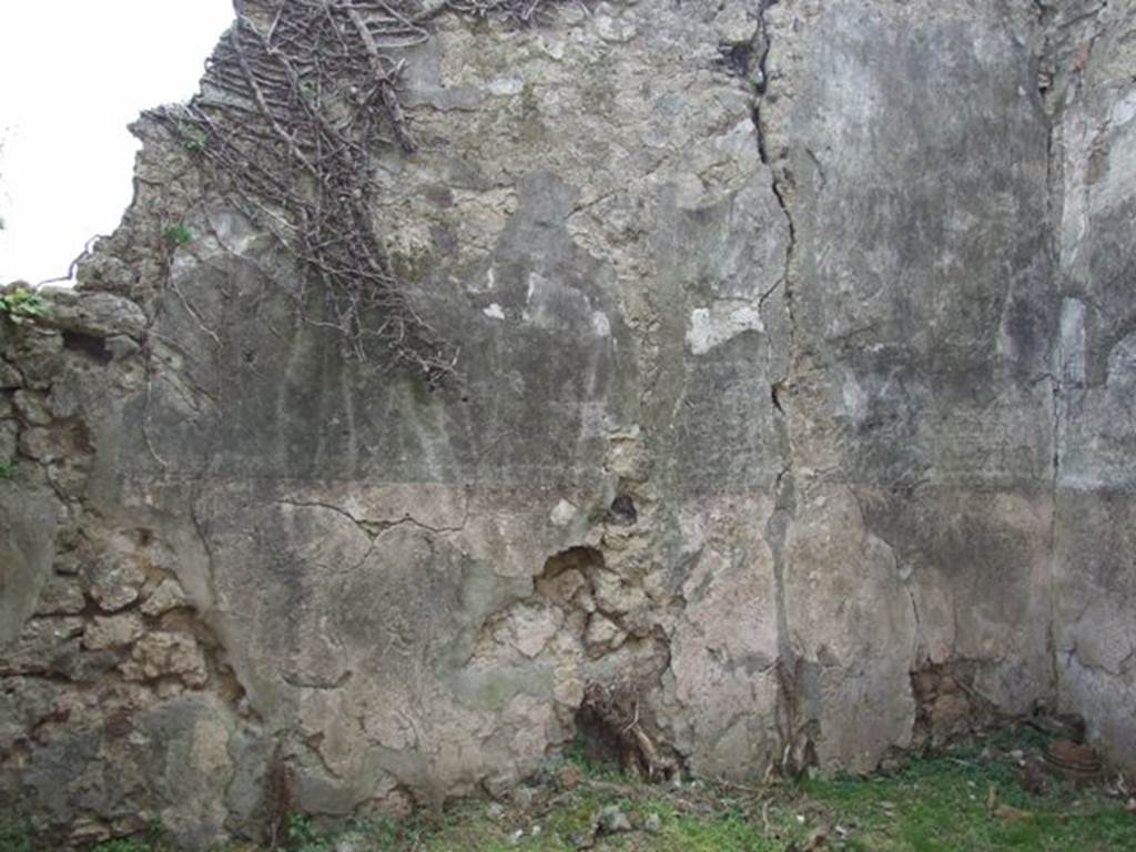 VI.16.29 Pompeii. March 2009. Room O, south wall of atrium of VI.16.30.