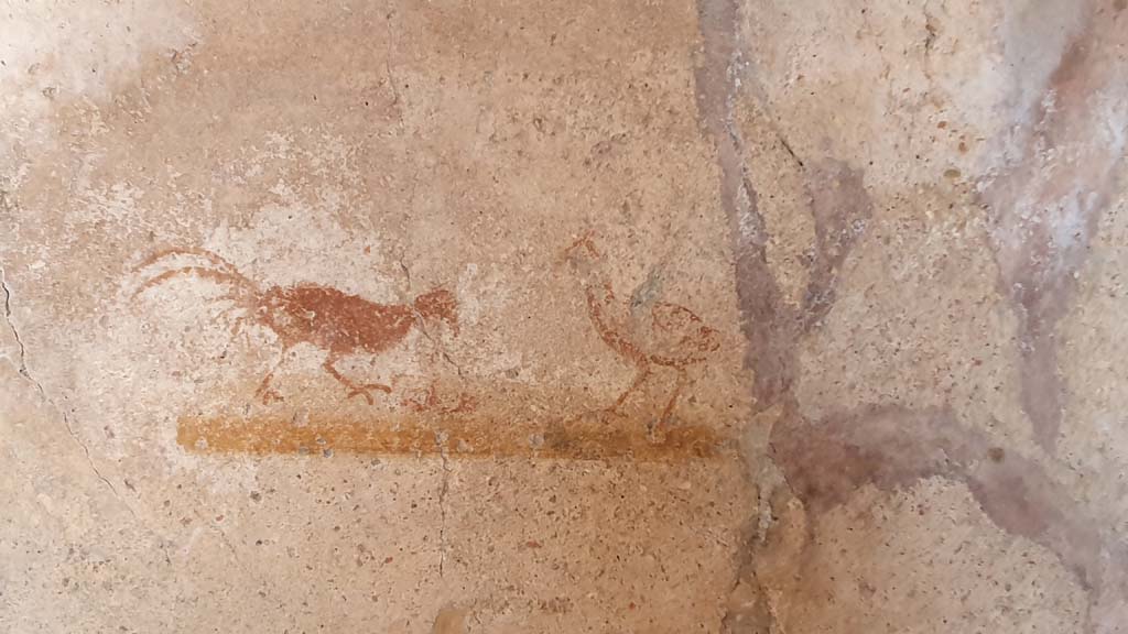 VI.16.33 Pompeii. July 2021. East wall with painted birds.
Foto Annette Haug, ERC Grant 681269 DÉCOR.