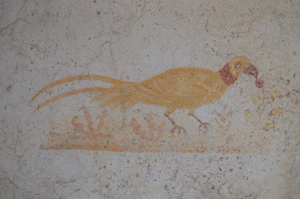 VI.16.33 Pompeii. March 2018. Painting of a bird from west end of north wall of bar-room.
Foto Taylor Lauritsen, ERC Grant 681269 DÉCOR.