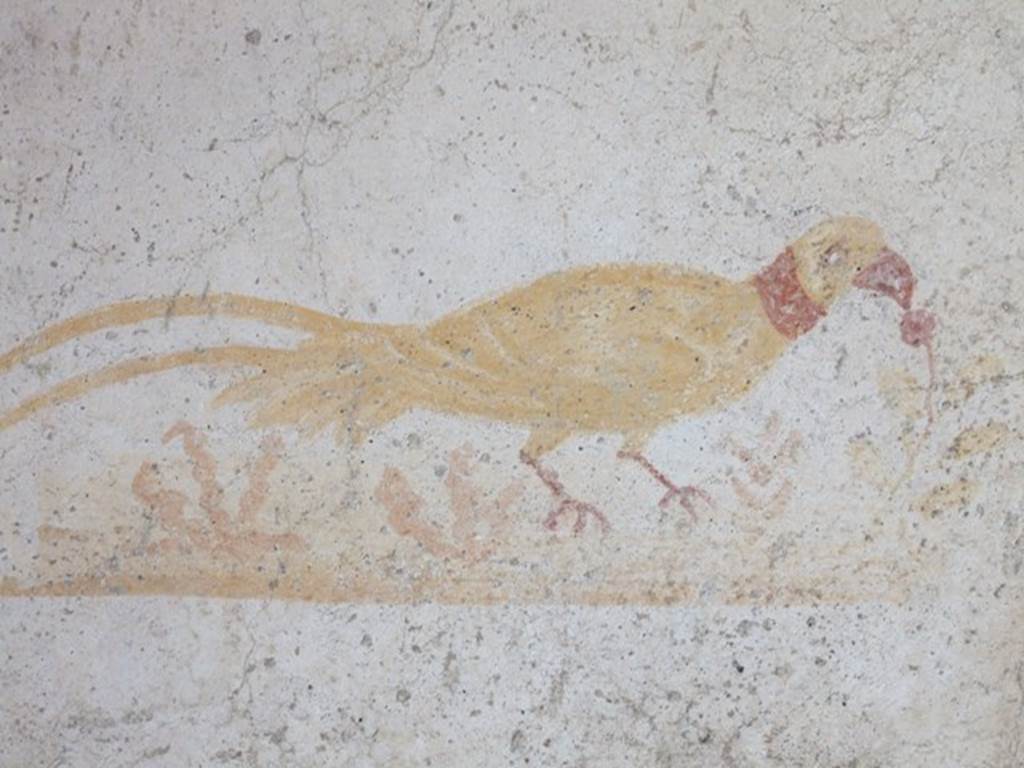 VI.16.33 Pompeii. December 2007. Detail of painting of bird from east wall.