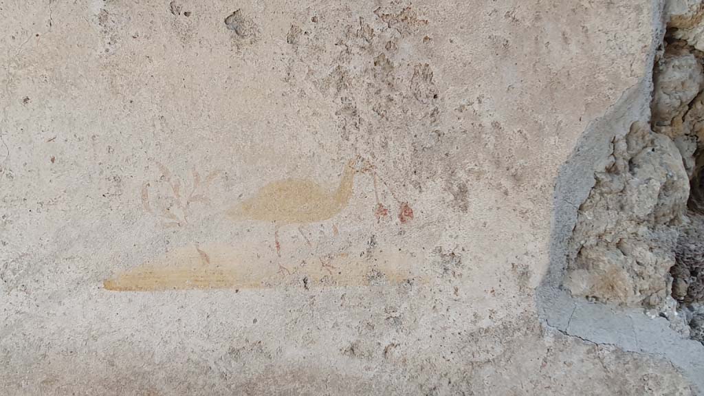 VI.16.33 Pompeii. July 2021. Detail of a second painted bird on centre of north wall of bar-room.
Foto Annette Haug, ERC Grant 681269 DÉCOR.