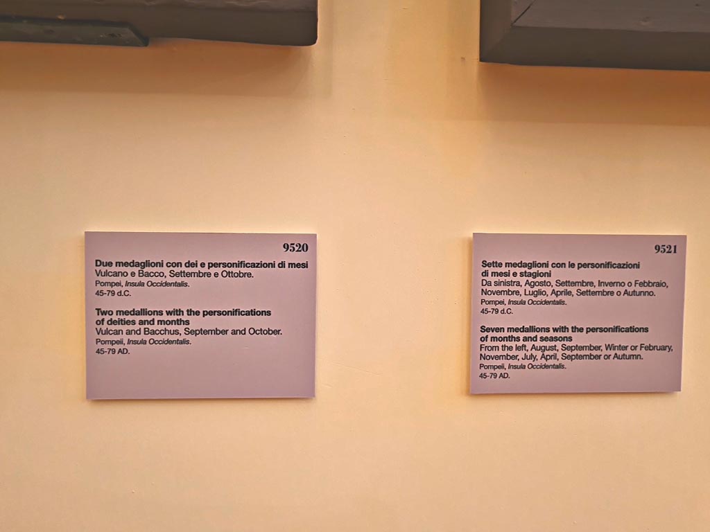 Pompeii Insula Occidentalis. October 2023. Description cards for inv. 9520 and 9521. Photo courtesy of Giuseppe Ciaramella.