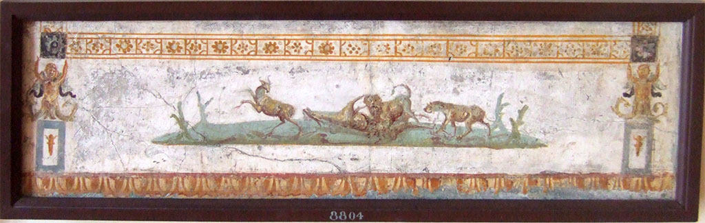 Pompeii Insula Occidentalis. Found beneath the Cuomo property 17th May 1760. Hunt scene. 
Predella of a side panel in the centre of which were the medallions 9084 or 9085.
Now in Naples Archaeological Museum. Inventory number 8804.
According to Grasso, this fragment showed a hunting scene with two lions attacking two goats.
See Bragantini, I & Sampaolo, V (eds). 2009. La Pittura Pompeiana, (Electa), (p.529)
According to Pagano and Prisciandaro, inventory numbers 9709, 9866, 8624, 8804, 9085, 9710, 8805, 8587 were found in the same room.
See Pagano, M. and Prisciandaro, R., 2006. Studio sulle provenienze degli oggetti rinvenuti negli scavi borbonici del regno di Napoli. Naples: Nicola Longobardi, p. 33.
See PAH 1, 1, 109, 17 May 1760.