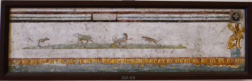 Pompeii Insula Occidentalis. 
Found beneath the Cuomo property 17th May 1760. Hunt scene. Predella from below the central panel, found beneath the Cuomo property. 
Now in Naples Archaeological Museum. Inventory number 8805.
According to Grasso, this fragment also showed a hunting scene.
The fragment is not from the same wall from which the architectural views (9709 and 9710) were taken.
See Bragantini, I & Sampaolo, V (eds). 2009. La Pittura Pompeiana, (Electa), (p.529)
According to Pagano and Prisciandaro, inventory numbers 9709, 9866, 8624, 8804, 9085, 9710, 8805, 8587 were found in the same room.
See Pagano, M. and Prisciandaro, R., 2006. Studio sulle provenienze degli oggetti rinvenuti negli scavi borbonici del regno di Napoli. Naples: Nicola Longobardi, p. 33.
See PAH 1, 1, 109, 17 May 1760.