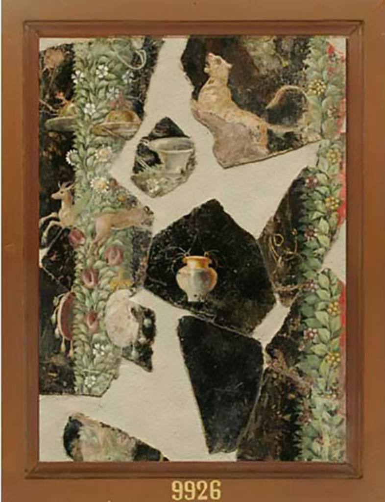 Pompeii Insula Occidentalis, or Villa of Cicero ??. Fragments framed in the same frame.
Now in Naples Archaeological Museum. Inventory number 9926.
Tigre con rami e frutti in campo nero. Tiger with branches and fruits on black background.
Vaso coricato in campo nero. Vase on black background.
Due pigne, rami e fiori in campo nero. Two pine cones, branches and flowers on black background.
