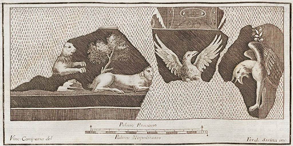 Pompeii Insula Occidentalis. Found 11th February 1764. Pastiche of painted plaster fragments.
Now in Naples Archaeological Museum. Inventory number 9915.
According to Pagano and Prisciandaro, a fragment of 0.11m square, half an eagle with wings outstretched, is inventory number 9915.
They give the reference AdE VII, 24, 107.
Several other fragments are in the same frame.
A four legged animal, painted on a black background.
Basket with two tied ribbons and flowers, painted on a coloured background.
Two panthers that seem to have been gilded, on a coloured background.
See Pagano, M. and Prisciandaro, R., 2006. Studio sulle provenienze degli oggetti rinvenuti negli scavi borbonici del regno di Napoli.  Naples: Nicola Longobardi, p. 45.
See Antichità di Ercolano: Tomo Setto: Le Pitture 5, 1779, p. 107.