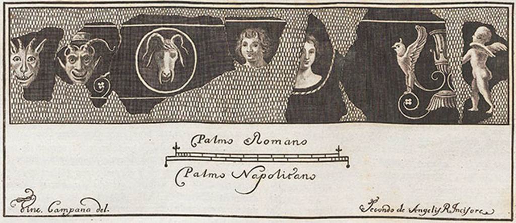 Pompeii Insula Occidentalis. Found 11th february 1764. Pastiche of fresco fragments.
Now in Naples Archaeological Museum. Inventory number 9885.
According to Pagano and Prisciandaro, a fragment of 0.11m square, parrot on coloured background, is inventory number 9885.
They give the reference AdE VII, 19, 85.
See Pagano, M. and Prisciandaro, R., 2006. Studio sulle provenienze degli oggetti rinvenuti negli scavi borbonici del regno di Napoli.  Naples: Nicola Longobardi, p. 45.
See Antichità di Ercolano: Tomo Setto: Le Pitture 5, 1779, p. 85.