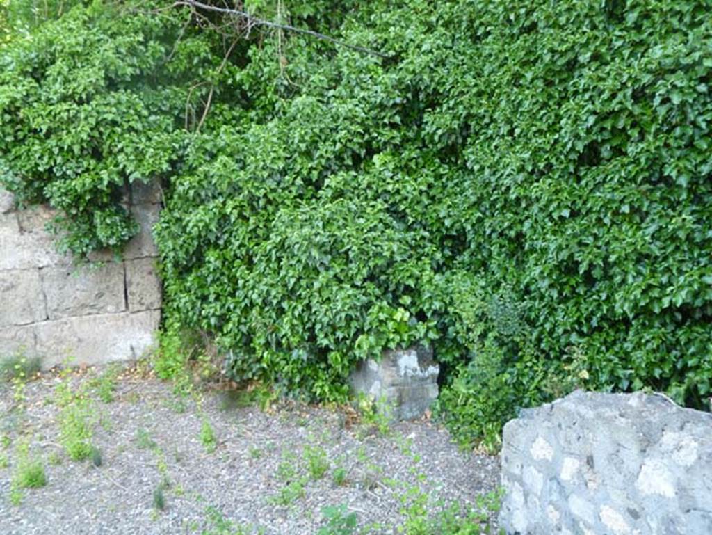 VI.17.1 Pompeii. May 2011. Looking north-west from north-east corner.
At the end of the block wall (under the greenery) would be another doorway, leading into a room with steps. 
Down these steps in the underground area, called a “cellar”, wine containers were discovered, according to Sir William Hamilton. 
He wrote –
“View of the ruins of the houses on the right-hand side of the street as you enter the gate.
A. The first house was thought to be an Inn. The bones of horses were found in the stables; and in the cellar, large earthen vessels for wine.”
See Hamilton, W., 1777. Account of the Discoveries at Pompeii. London: Bowyer and Nichols (p.12, Pl. VIII).
