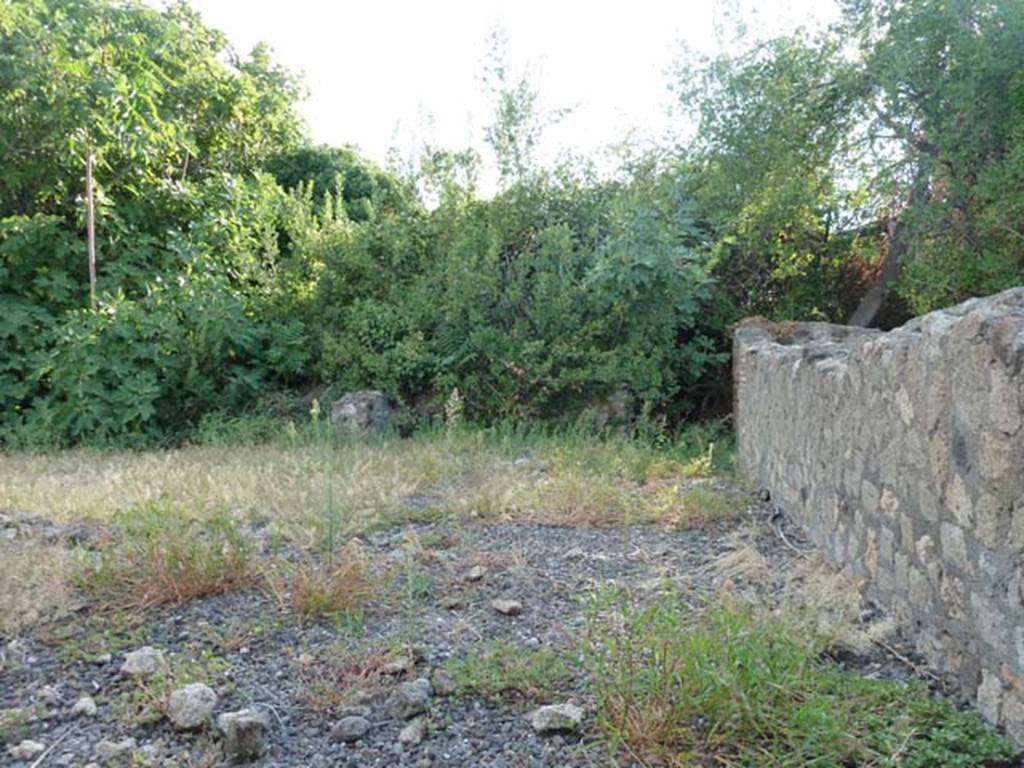 VI.17.9 Pompeii.September 2015. Looking west from entrance doorway.