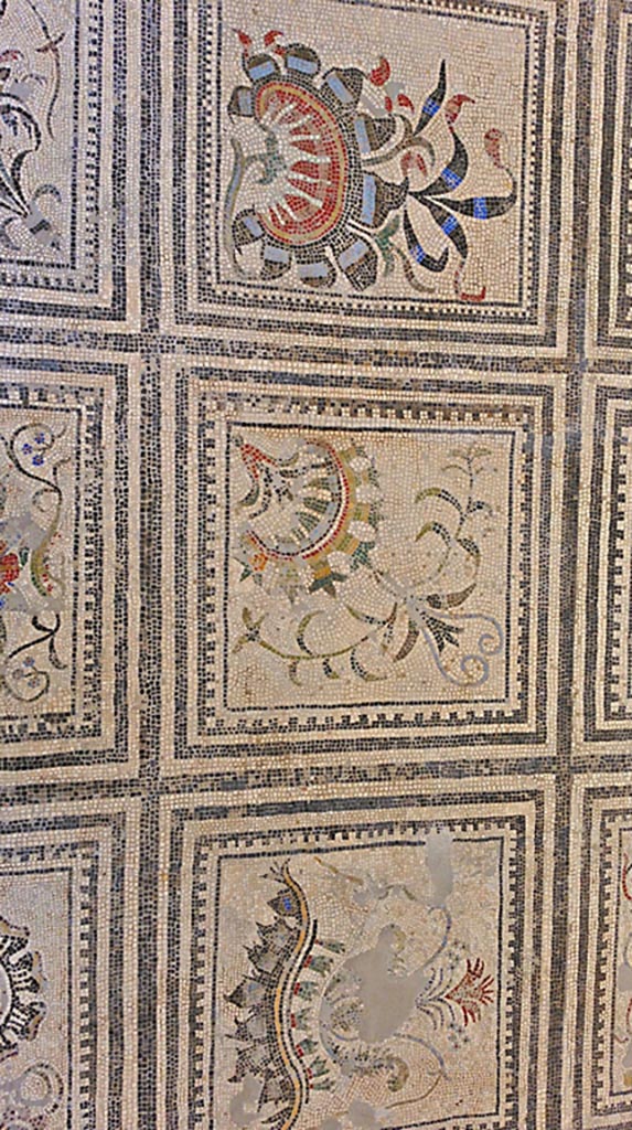VI 17.10 Pompeii ?. July 2019. 
Detail from centre of mosaic flooring. On display in Naples Archaeological Museum. Photo courtesy of Giuseppe Ciaramella