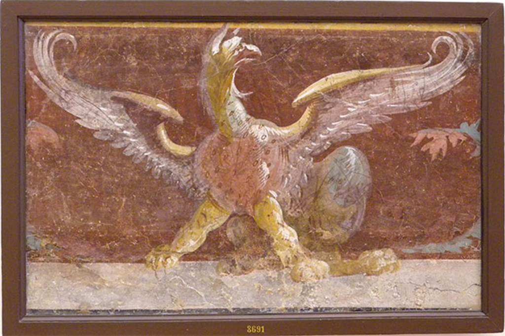 VI.17.9-10 Pompeii. Found 18 November 1763. Griffin.
Now in Naples Archaeological Museum. Inventory number 8691.
According to Allroggen-Bedel, this was found in La Vega’s room 9
Room 9 (as described by La Vega), the zoccolo was clear yellow, with panels of purple. 
The main part of the wall had a purple background which had yellow bands, and a frieze with yellow background with the tan-coloured panels. 
The decoration above was on a white background with various ornamentations. 
In the same room on 18th November, a winged Griffin and a winged Sphynx were cut, both had a purple background.
