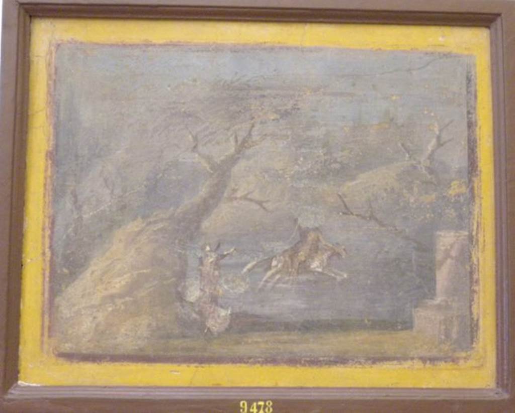 VI.17.9-10 Pompeii. May 2010. Wall painting showing Phrixus riding on the ram, Helle sinking in the sea.
Now in Naples Archaeological Museum.  Inventory number 9478.
According to Allroggen-Bedel, this painting was found in room 11 on the La Vega’s plan.
She wrote that - “in room 11, a total of 6 pictures were cut. 
5 of them can be identified with those in the Naples Museum, regarding the sixth one, Alcubierre had described it as a mask – not well preserved, perhaps it was not cut out, contrary to the statement by La Vega.
The first 2 paintings are on a yellow backgrounds, and numbered 9476 and 9512.
The three following paintings are mythological landscapes, numbered 9504, 9477, and 9478.
All 3 paintings are red brown-framed and come from yellow walls, they must have formed the central motif of the front wall and both side walls.
Shown is a landscape with shepherd’s and animals, possibly Paris on the Ida (9504).
Andromeda chained to a rock, and being freed by Perseus (9477).
Phryxus riding on the ram, Helle sinking in the sea (9478).
The two vistas, 9476 and 9512, probably come (like their not cut counterparts) from the side panels.”
See Allroggen-Bedel - Die malereien aus dem Haus Insula Occidentalis 10, (p.177-8). in Cronache Pompeiane II, 1976 (p.144-183)